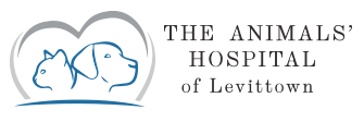 Link to Homepage of The Animals' Hospital of Levittown